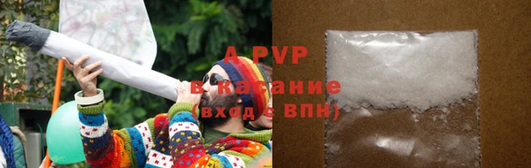 PSILOCYBIN Белокуриха
