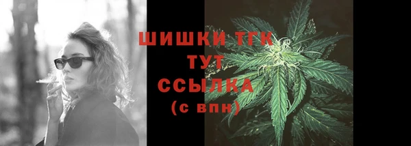 тгк Мегион